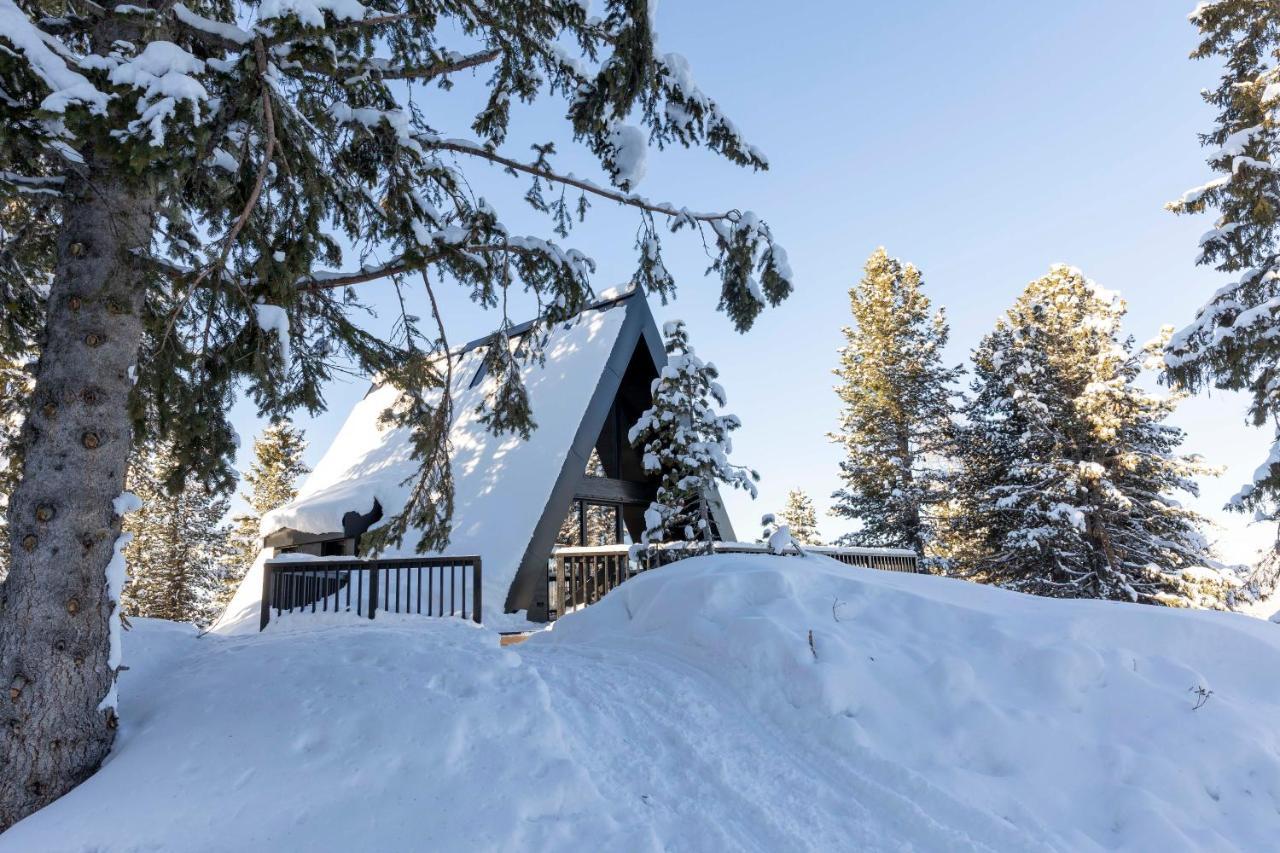 Luxe Vista Mountain Cermis - Mitten Auf Der Alm Und Skipiste Holiday home Cavalese