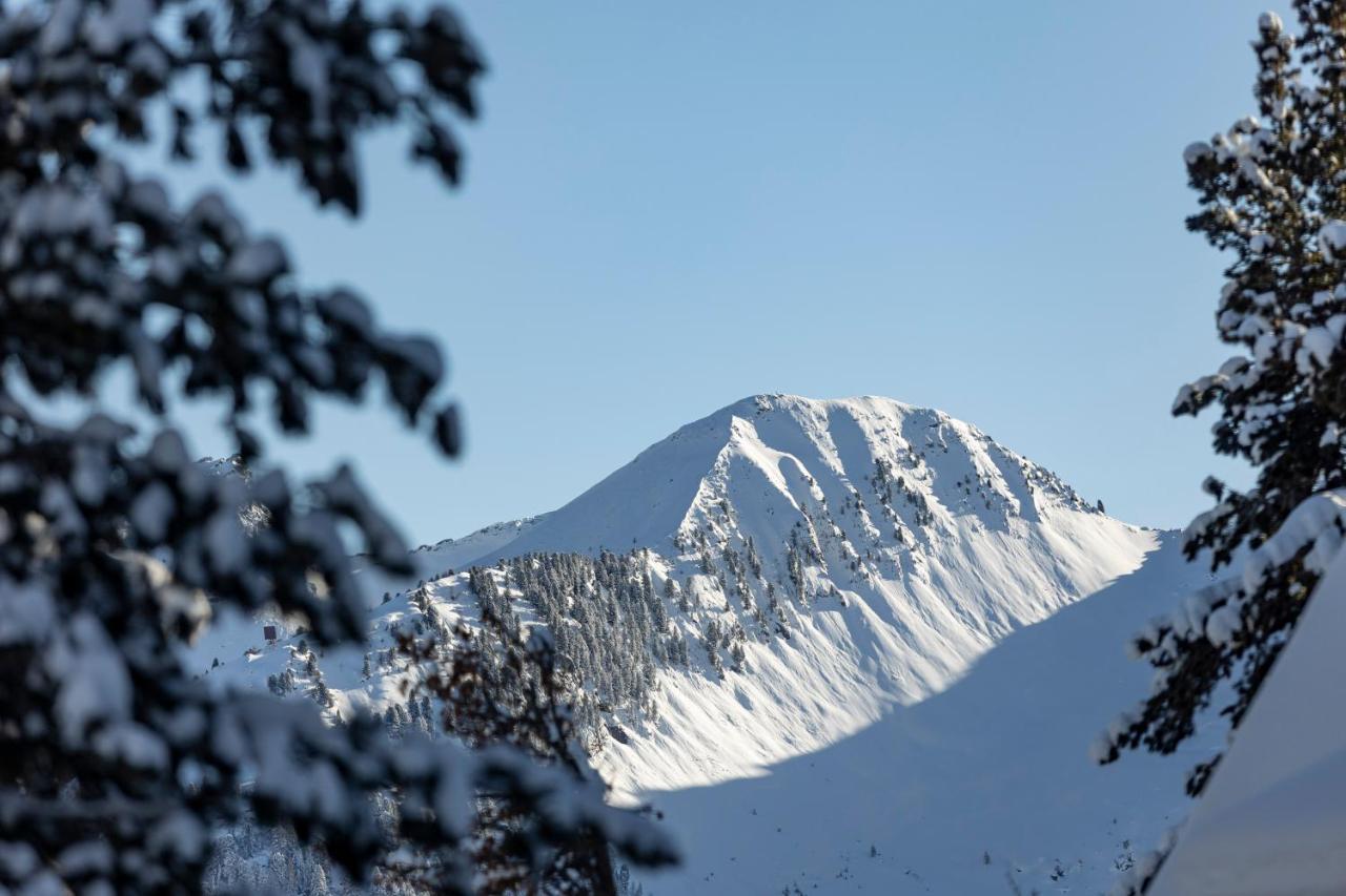 Luxe Vista Mountain Cermis - Mitten Auf Der Alm Und Skipiste Holiday home Cavalese